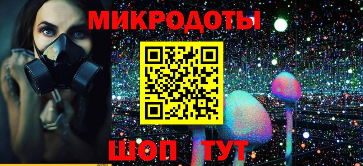 Псилоцибиновые грибы GOLDEN TEACHER Прохладный