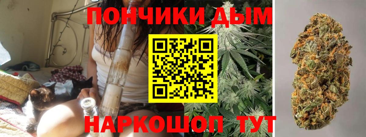 Прохладный  Канабис Bruce Banner  Вход с VPN  МАРИХУАНА ГИДРОПОН  Марихуана THC 21% 